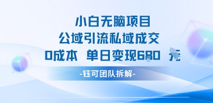 小白无脑项目公域引流私域成交0成本单日变现680米_微雨项目网