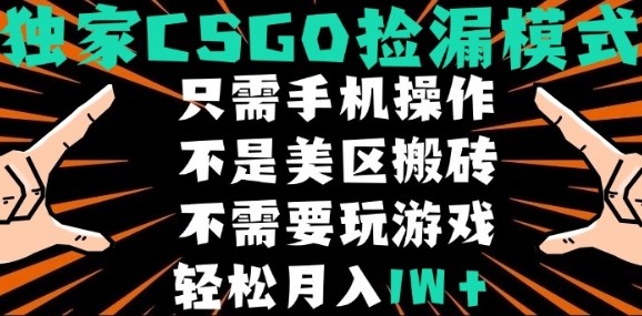 CSGO自动捡漏项目，最新独家玩法，不是美区搬砖，不需要了解和玩游戏，新手小白轻松月入1W+【揭秘】_微雨项目网