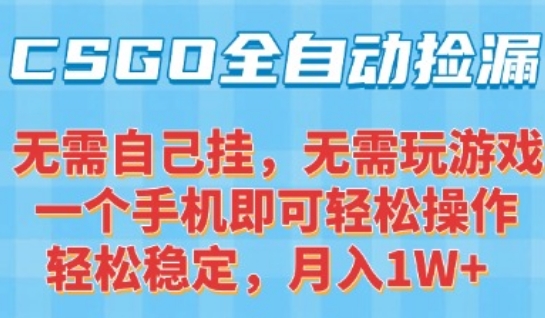 CSGO自动捡漏项目，最新独家玩法，一个手机可操作，新手小白轻松月入1W+，操作简单易上手【揭秘】_微雨项目网
