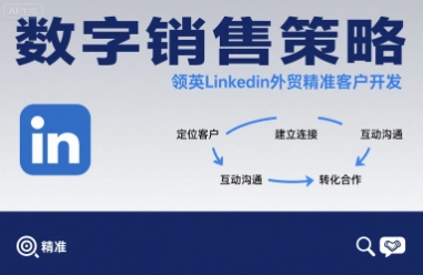 数字销售策略领英LinkedIn外贸精准客户开发_微雨项目网