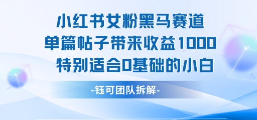 小红书女粉黑马赛道单篇帖子带来收益1k+，特别适合0基础的小白_微雨项目网
