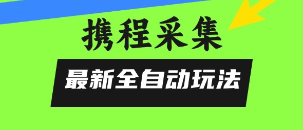 携程信息采集全自动玩法，0风控，无脑开干【揭秘】_微雨项目网