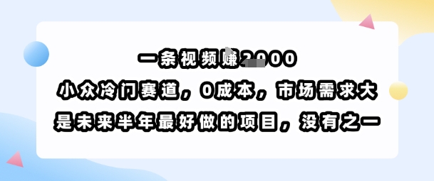 一条视频挣1k，小众冷门赛道，0成本，市场需求大，是未来半年最好做的项目，没有之一_微雨项目网