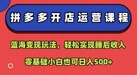 拼多多开店运营课程：蓝海变现玩法，轻松实现睡后收入，零基础小白也可日入5张_微雨项目网