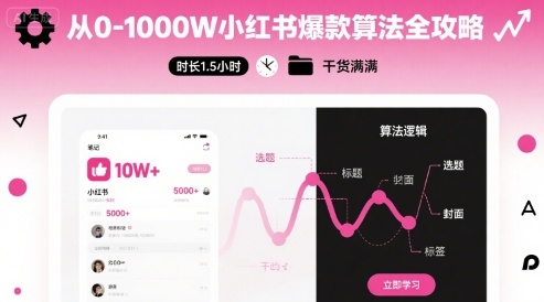 从0-1000W小红书爆款算法全攻略，时长1.5小时，干货满满_微雨项目网