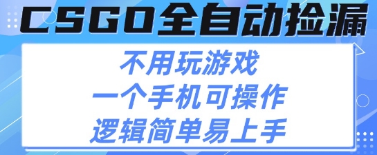 CSGO自动捡漏项目，最新独家玩法，不用挂G不用玩游戏，一个手机即可操作，新手小白轻松月入1W+【揭秘】_微雨项目网