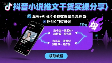 抖音小说推文干货实操分享，混剪+AI图片卡特效爆量全流程，0粉丝0门槛可做_微雨项目网