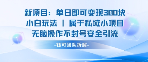 新项目单日即可变现3张的小白玩法无脑操作不封号安全引流_微雨项目网