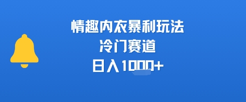 情趣内衣暴利玩法，冷门赛道，日入1k+_微雨项目网