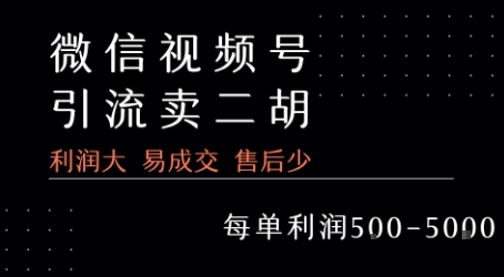 视频号卖二胡教程，利润大 易成交 售后少，一单利润5张+_微雨项目网