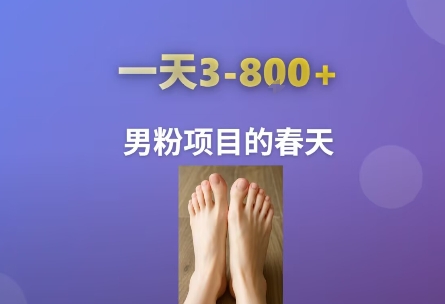 AI一键生成美女素材，一天收益3-8张，男粉项目的春天_微雨项目网