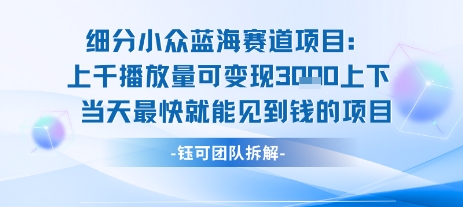 小众蓝海赛道项目：当天变现1k+适合新手操作 +适合长期玩_微雨项目网