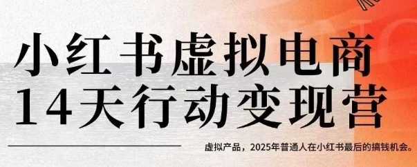 小红书虚拟电商14天变现训练营，虚拟产品，2025年普通人在小红书最后的搞钱机会_微雨项目网
