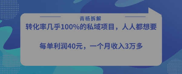 转化率最高的私域项目，每单利润40-50米，月入过1w_微雨项目网