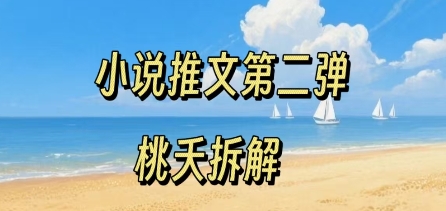 小说推文项目操作全流程第二弹，0粉就能做，门槛低非常适合新手_微雨项目网