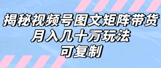 解密视频号图文矩阵带货，月入几个W的打法，可复制_微雨项目网