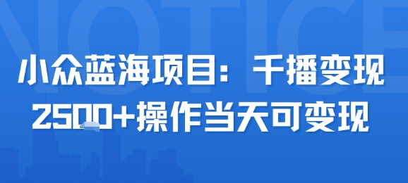 小众蓝海项目，千播变现2.5k+操作当天可变现_微雨项目网
