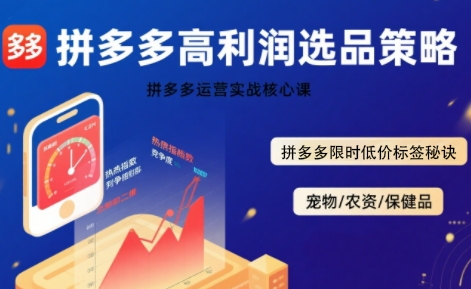 拼多多选品暴利技术实战课，拼多多高利润选品策略，拼多多限时低价标签秘诀_微雨项目网
