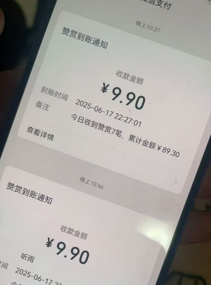 二次元男粉快速变现项目，私域卖虚拟产品，百分利润_微雨项目网