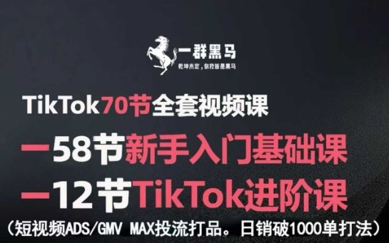 TikTok全套视频课，新手入门+进阶课，短视频ADS-GMV MAX投流打品，日销破1000单打法_微雨项目网