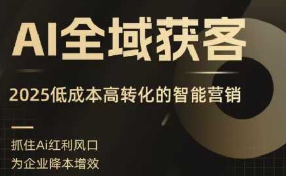 AI全域获客实训营，2025低成本高转化的智能营销，精准找客，高效营销_微雨项目网