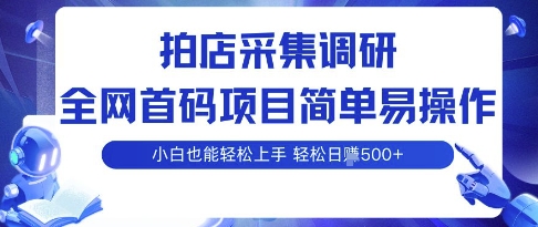 拍店采集调研，全网首码项目，简单易操作， 小白也能轻松上手，多账号操作，轻松日入5张【揭秘】_微雨项目网