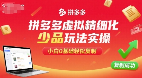 拼多多虚拟精细化少品玩法实操，小白0基础轻松复制_微雨项目网