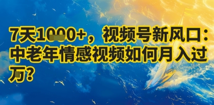 7天收益1k+，视频号新风口：中老年情感视频如何月入过W?_微雨项目网
