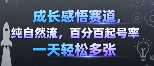 成长感悟赛道，纯自然流，百分百起号率 一天轻松多张_微雨项目网