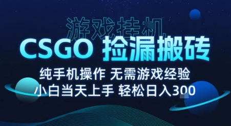 8月最新游戏搬砖，CSGO纯挂G，不需要玩游戏，实现真挂G，月入1W+【揭秘】_微雨项目网