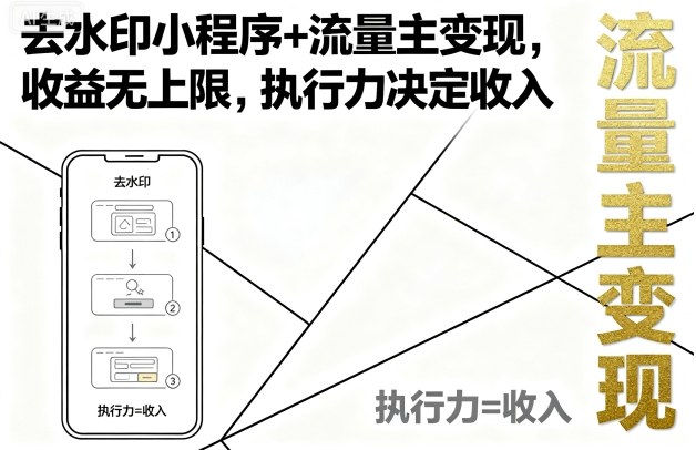 去水印小程序+流量主变现，收益无上限，执行力决定收入_微雨项目网