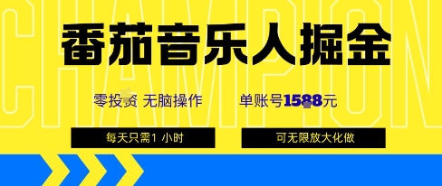 番茄音乐人掘金，单账号最高可撸1k+，可无限矩阵去做，零投入_微雨项目网