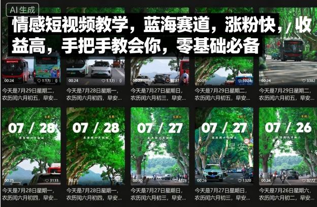 情感短视频教学，蓝海赛道，涨粉快，收益高，手把手教会你，零基础必备_微雨项目网