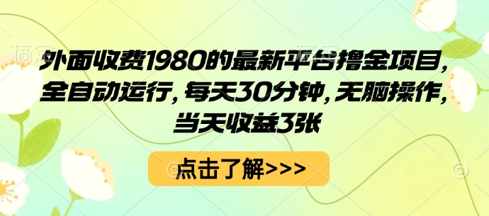 外面收费1980的最新平台撸金项目，全自动运行，每天30分钟，无脑操作，当天收益3张【揭秘】_微雨项目网