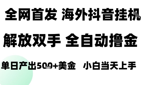海外抖音无人直播，单日产出1.5k+，长期稳定，新手可玩，无脑操作【揭秘】_微雨项目网