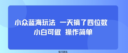 小众蓝海玩法 一天搞了四位数 小白可做 操作简单_微雨项目网