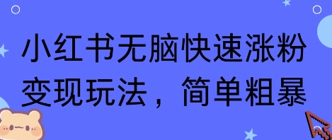 小红书无脑快速涨粉变现玩法，简单粗暴_微雨项目网