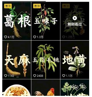 抖音中草药赛道，用AI做中草药故事视频，45条作品涨粉13W，橱窗带货猛猛出单_微雨项目网