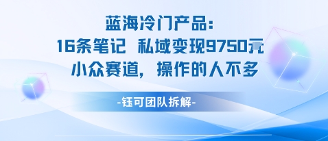 蓝海项目：16条笔记私域变现9750米小众赛道操作的人不多_微雨项目网