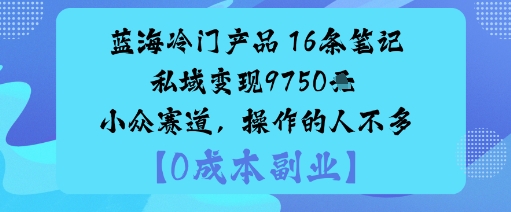 蓝海冷门产品：16条笔记私域变现9750米小众赛道，操作的人不多_微雨项目网