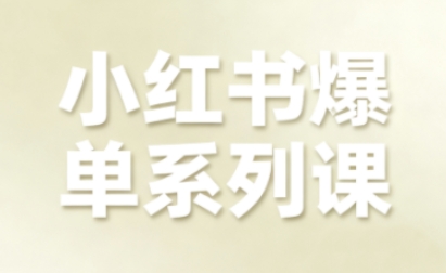 小红书爆单系列课，聚焦小红书电商全链路增长_微雨项目网