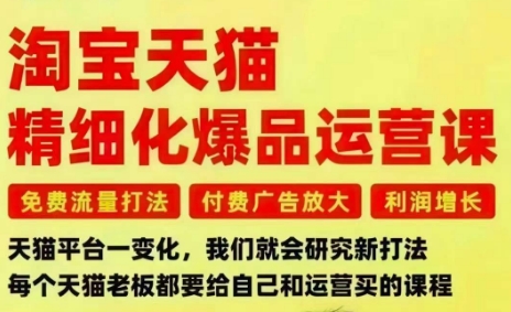 淘宝天猫精细化爆品运营课，免费流量打法-付费广告放大-利润增长-三大核心痛点，一次全部解决_微雨项目网