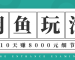 龟课·闲鱼项目玩法实战班第12期，操作10天左右利润有8000元细节玩法_微雨项目网