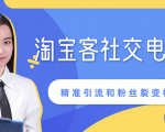 某站内部课程:淘宝客社交电商裂变,精准引流和粉丝裂变模式详解(共6节视频)_微雨项目网