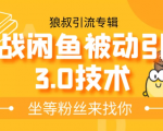 狼叔实战闲鱼被动引流3.0技术,无限上架玩法,免费送被动引流,高阶玩法实战总结_微雨项目网