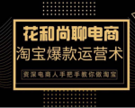 花和尚·天猫淘宝爆款运营实操技术，手把手教你月销万件的爆款打造技巧_微雨项目网