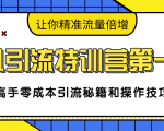 卓凡引流特训营第一期：高手零成本引流秘籍和操作技巧，让你精准流量倍增_微雨项目网