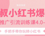 狼叔小红书爆款推广引流训练课4.0,手把手带你玩转小红书_微雨项目网