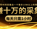 年赚十万的采集站，每天却只需要1小时，一年时间采集出一个售价10W以上的网站_微雨项目网