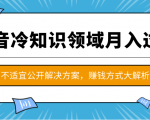 抖音冷知识领域月入过万项目，不适宜公开解决方案 ，抖音赚钱方式大解析！_微雨项目网